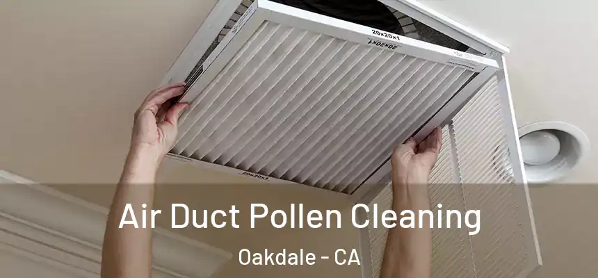 Air Duct Pollen Cleaning Oakdale - CA