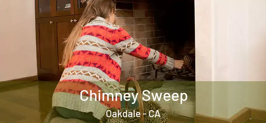 Chimney Sweep Oakdale - CA