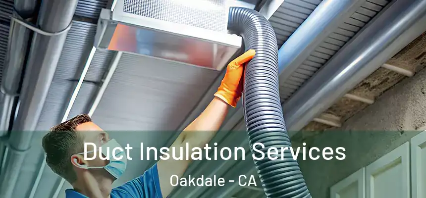  Duct Insulation Services Oakdale - CA