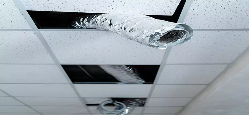 Our Air Duct Pet Hair Removal Services in Oakdale, CA