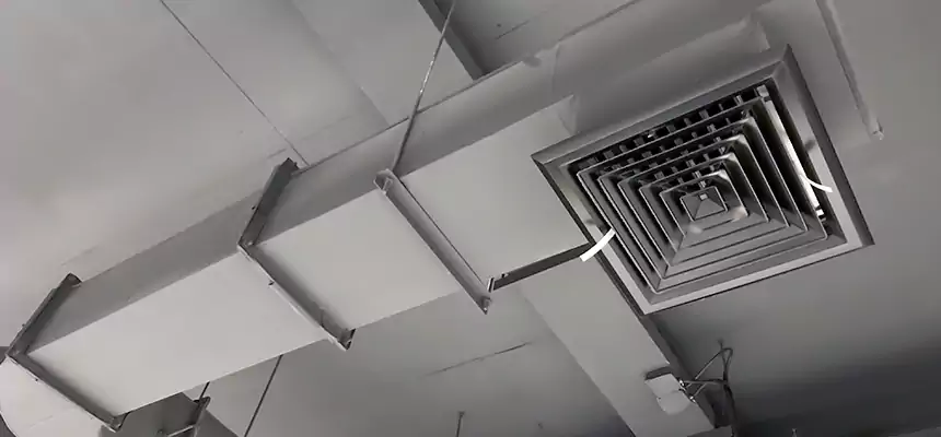 Our Pest Removal From Ducts Services in Oakdale, CA