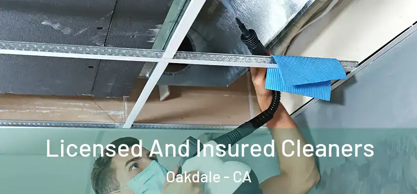 Licensed And Insured Cleaners Oakdale - CA