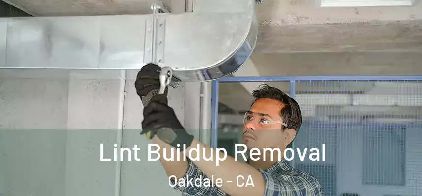  Lint Buildup Removal Oakdale - CA