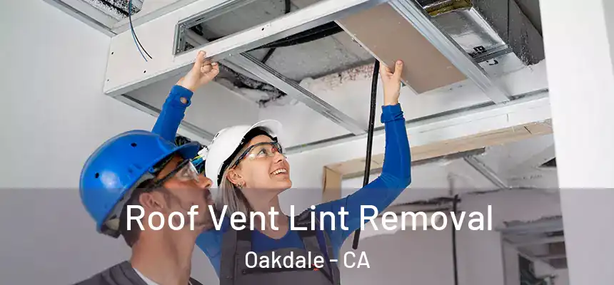  Roof Vent Lint Removal Oakdale - CA