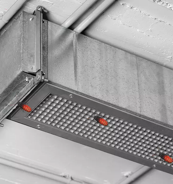 About Air Duct Cockroach Removal in Oakdale, CA