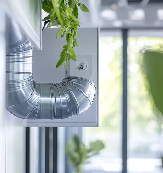 Professional Eco-Safe Dryer Vent Cleaning in Oakdale, CA