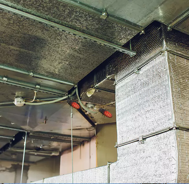 Why Homeowners & Businesses Trust Us in Oakdale, CA?