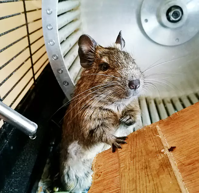 Why Homeowners & Businesses Trust Us Oakdale, CA