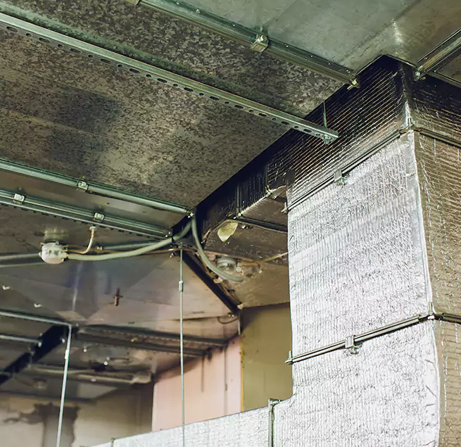 Why Homeowners & Businesses Trust Us in Oakdale, CA?